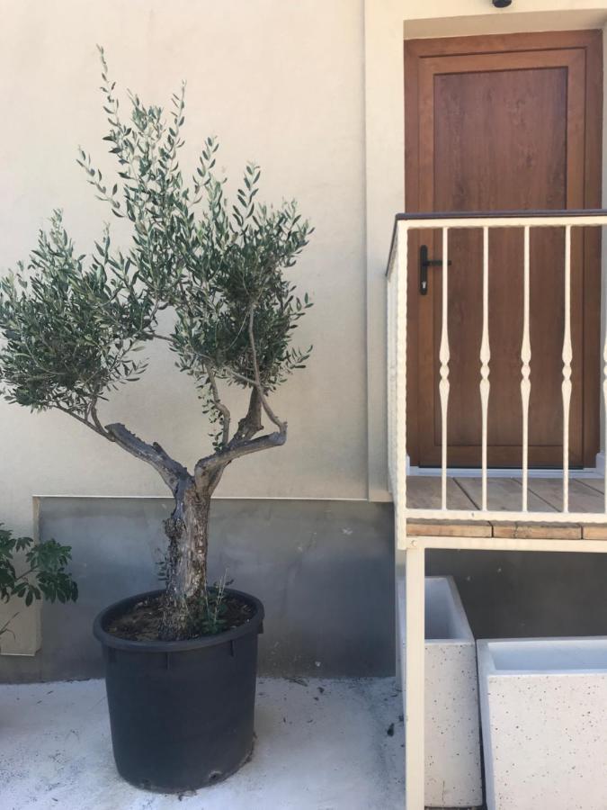 Novem Apartment Zadar Exterior photo
